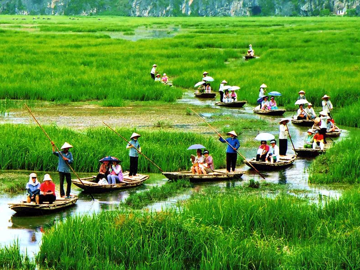 Heritage and Serenity: Hoa Lu, Tam Coc & Ha Long Experience